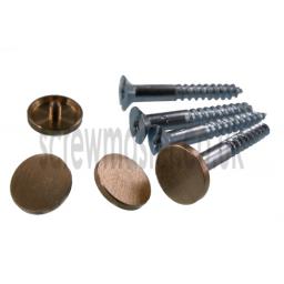 pack-of-4-mirror-screws-with-brushed-satin-brass-disc-screw-in-cap-20mm-diameter-flat-cover-head-351-p.jpg