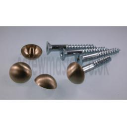 set-of-4-mirror-screws-with-satin-brass-dome-screw-in-cap-16mm-diameter-344-p.jpg