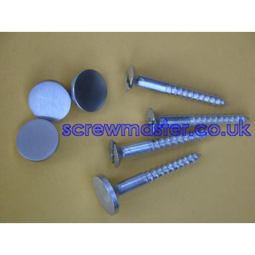 set of 4 Mirror Screws with Satin Chrome Disc screw in Cap 10mm diameter brushed stainless effect