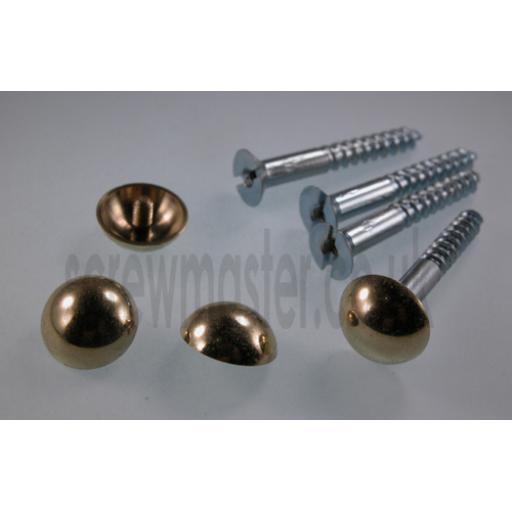 set of 4 Mirror Screws with polished Brass Dome screw in Cap 16mm diameter