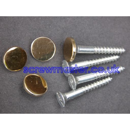 set of 4 Mirror Screws with polished Brass Disc screw in Cap 10mm diameter