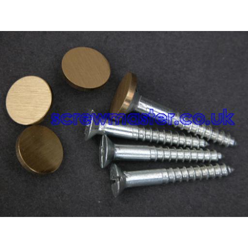 set of 4 Mirror Screws with Satin Brass Disc screw in Cap 10mm diameter brushed finish