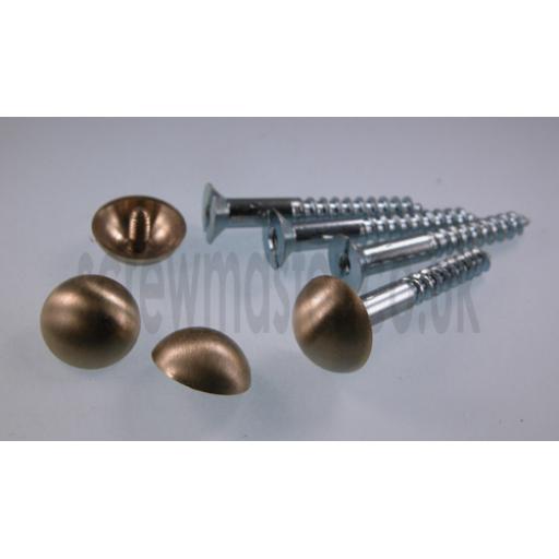 set of 4 Mirror Screws with Satin Brass Dome screw in Cap 16mm diameter