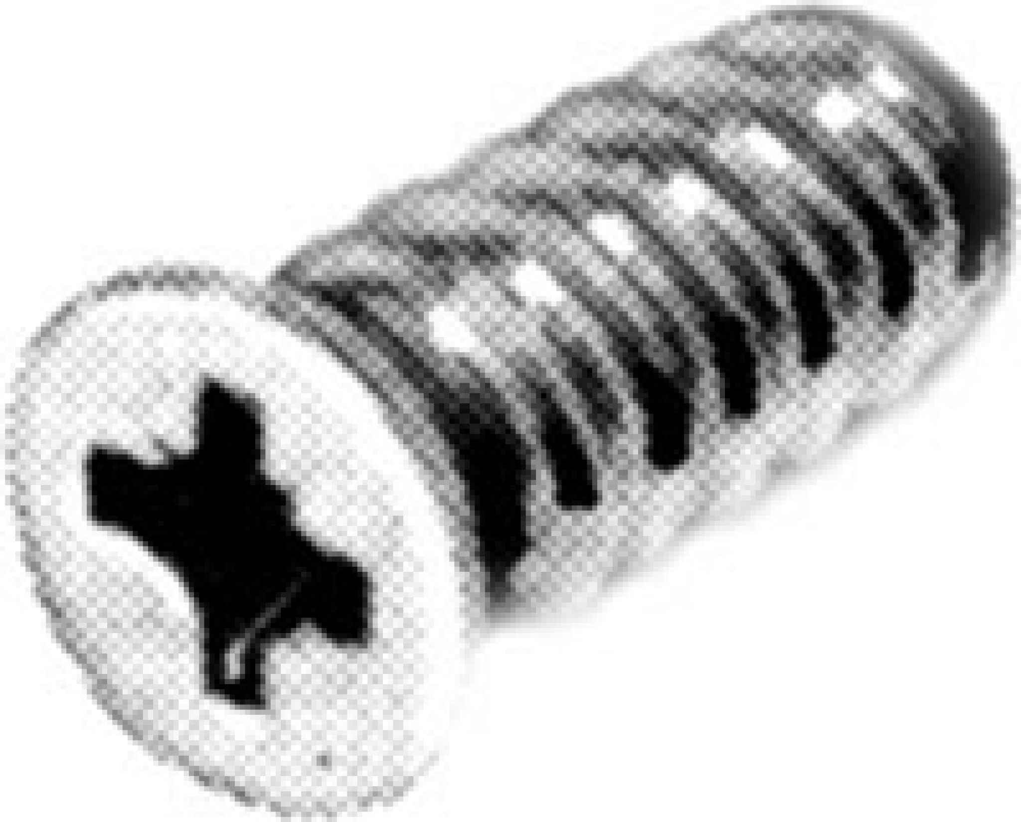 10 Euro System Screws 135mm for concealed hinge mounting plates varianta