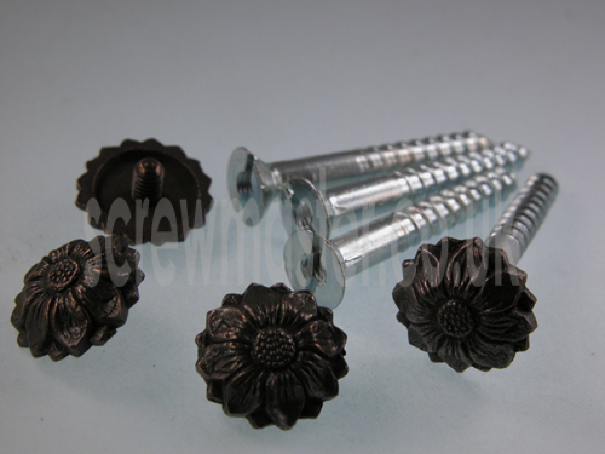 Pack of 4 Mirror Screws with Floral Decorative Die Cast Bronze finish Metal Rosette screw in Cap 5BA