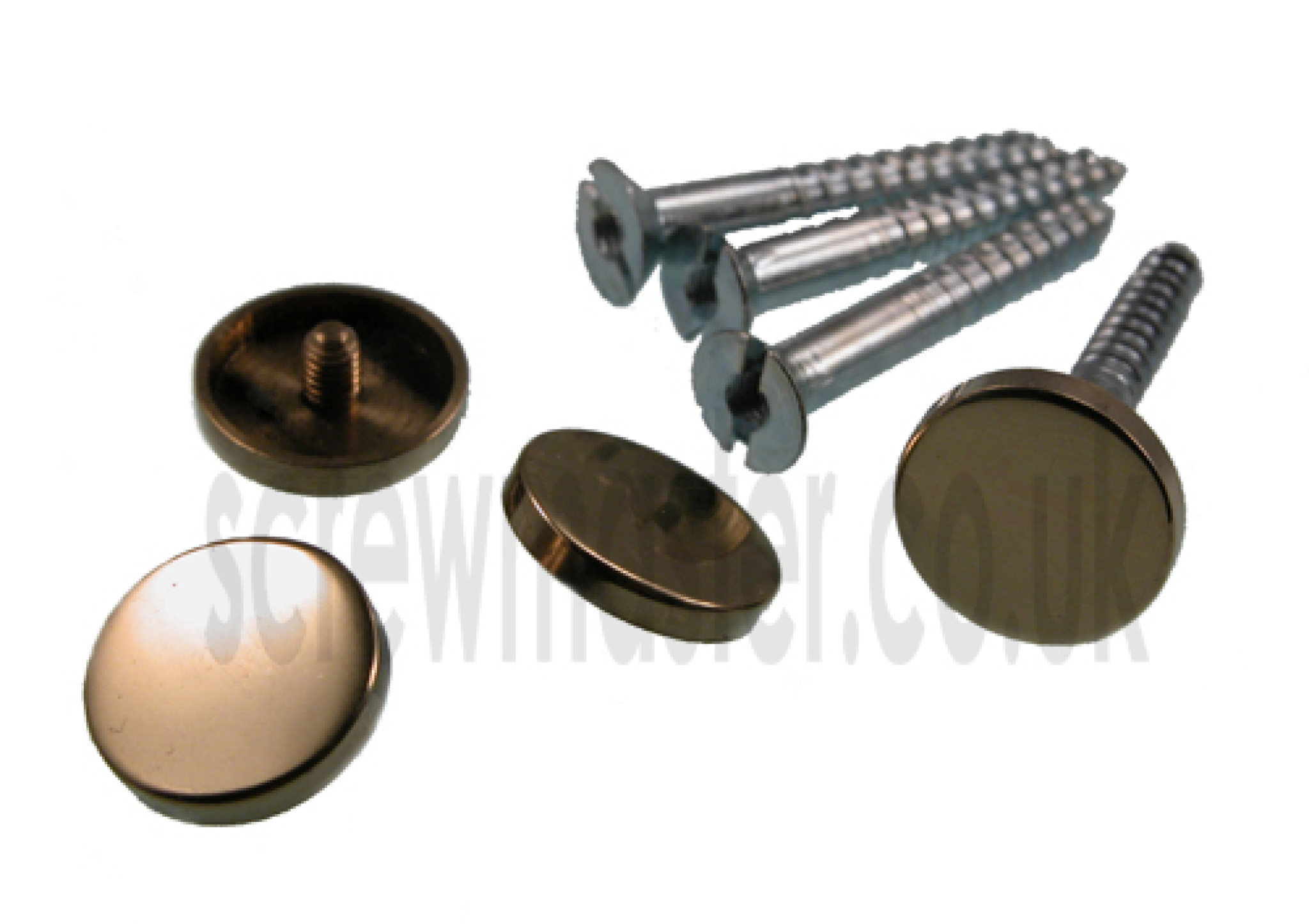 Pack of 4 Mirror Screws with polished Brass Disc screw in Cap 15mm diameter