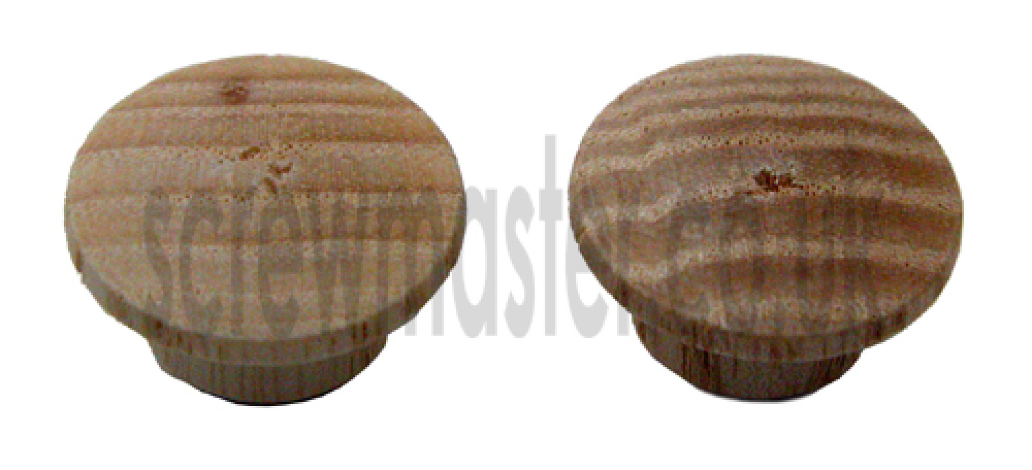 10 wooden hole plugs ASH 10mm diameter cover caps