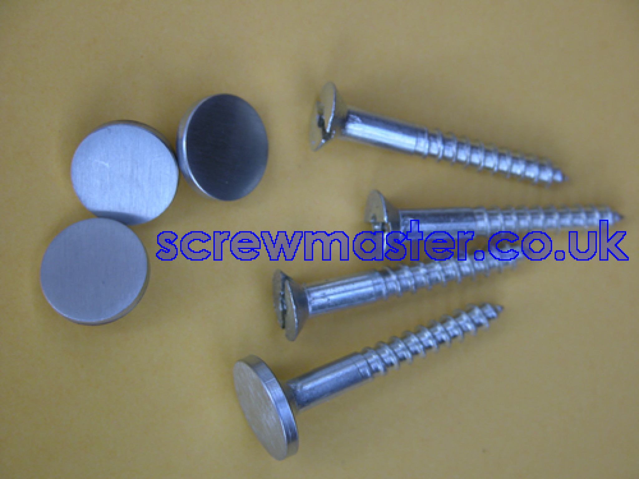 set of 4 Mirror Screws with Satin Chrome Disc screw in Cap 12mm diameter brushed stainless effect
